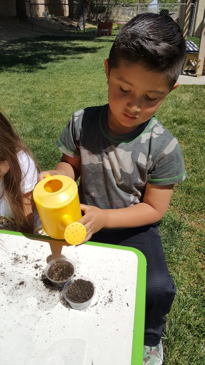 Planting a garden with children