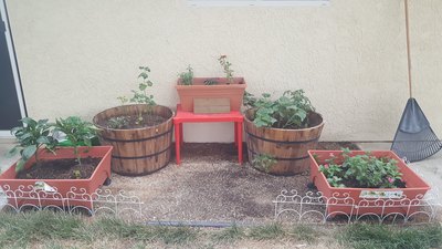 Preschool garden area
