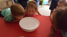 Science in a Family Child care home with preschoolers