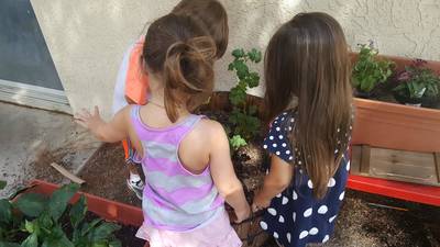 Children caring for the garden 
